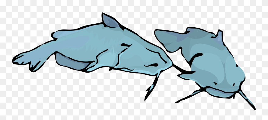 Fish Died Clipart Clip Art Free Download Channel-catfish - Clip Art - Png Download