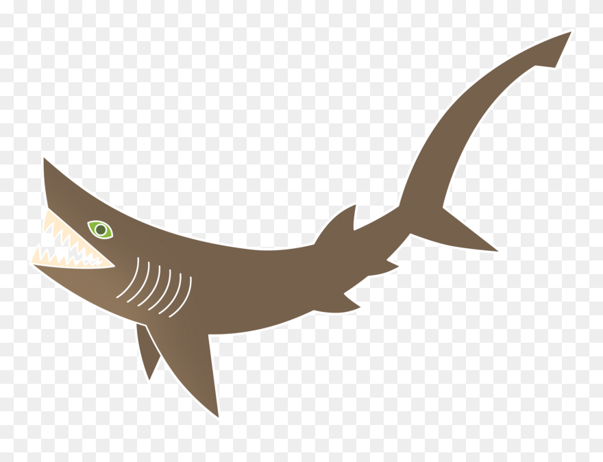 Drawing Six Gilled Shark Clipart