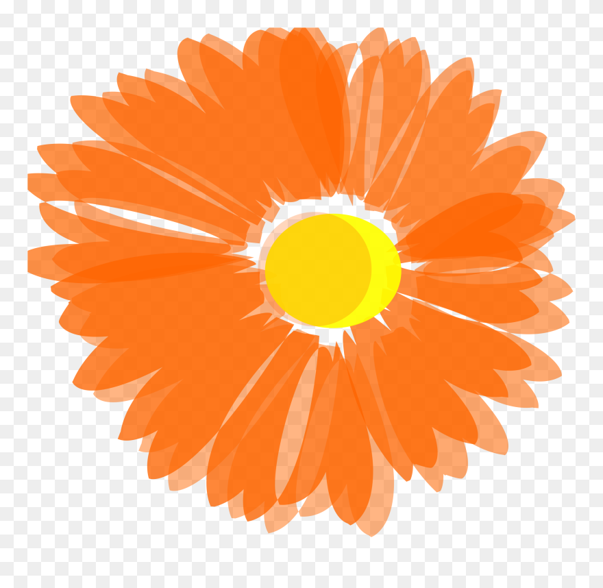 Free Flower Vector - Orange Flower Clipart Png Transparent Png