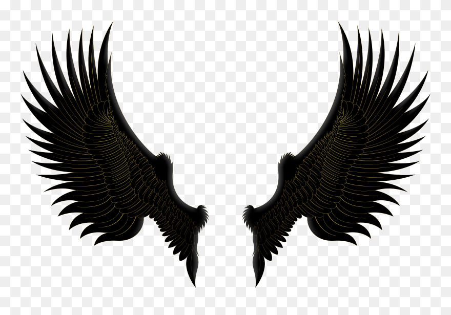 Black Gold Wings Png Clip Art Image - Black And Gold Wings Transparent Png