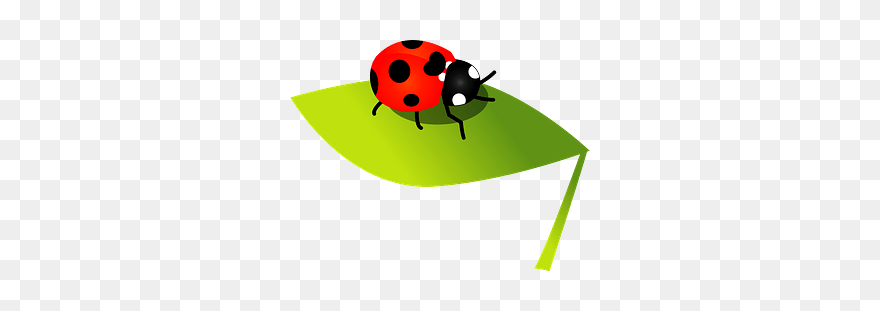 Seven Spot Ladybird Clipart - Ladybug - Png Download