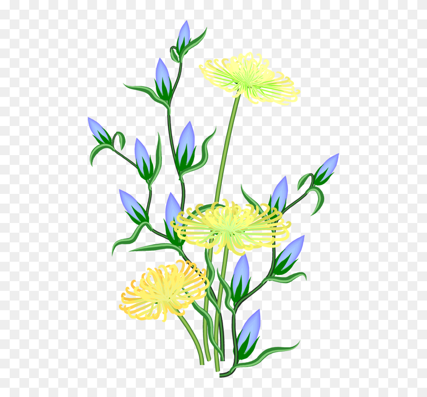 Clip Art - Png Download