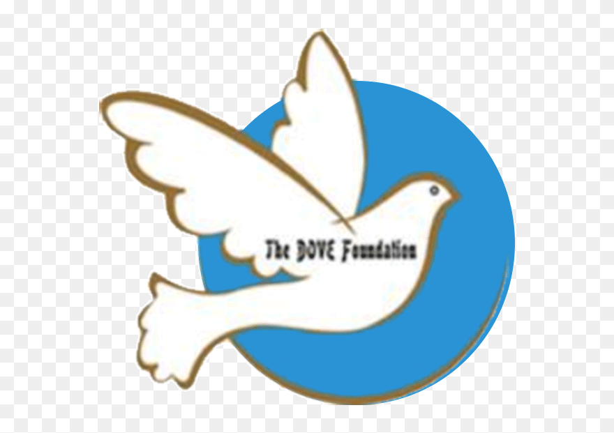 World Of Work Summer Internship Blog - Dove Clipart