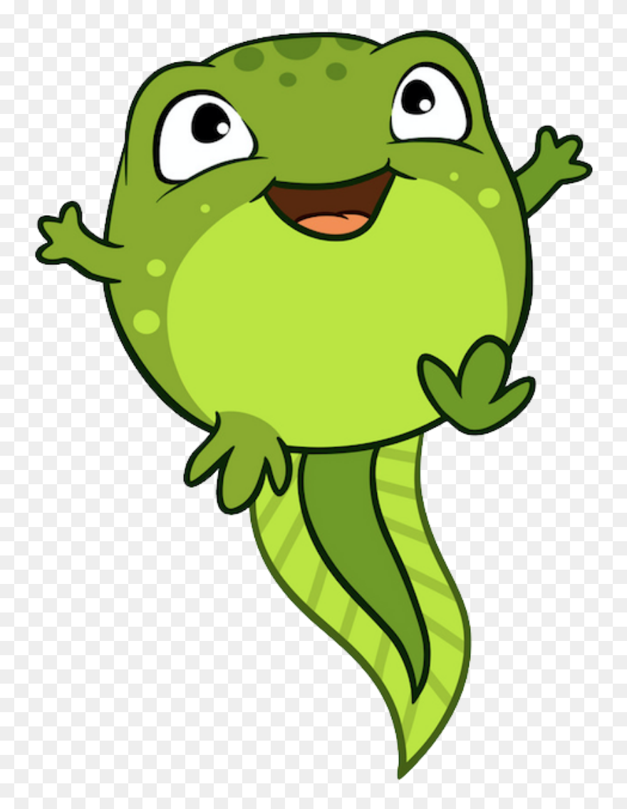 Cute Tadpole Clipart