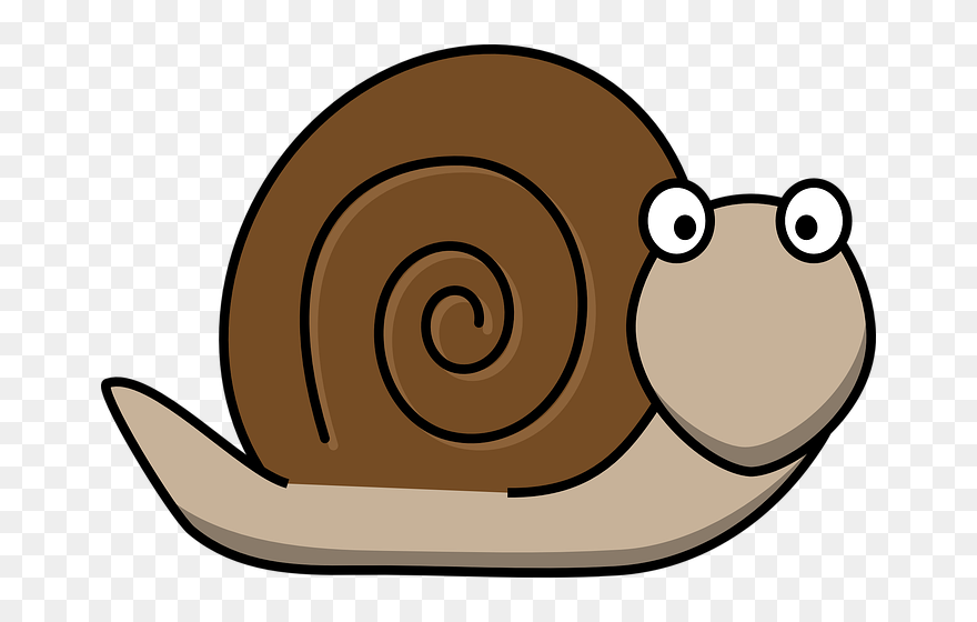 Clipart Pictures Of A Snail - Png Download