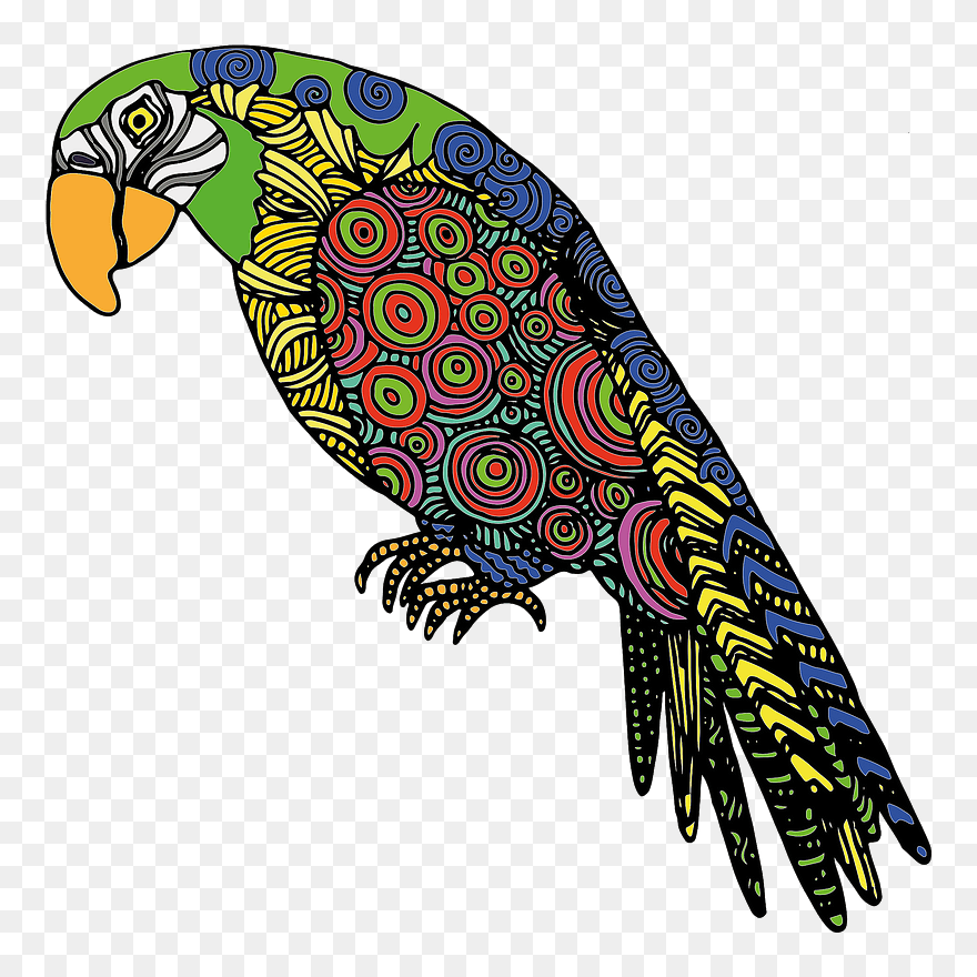 Detailed Parrot Clipart - Parrot Abstract - Png Download