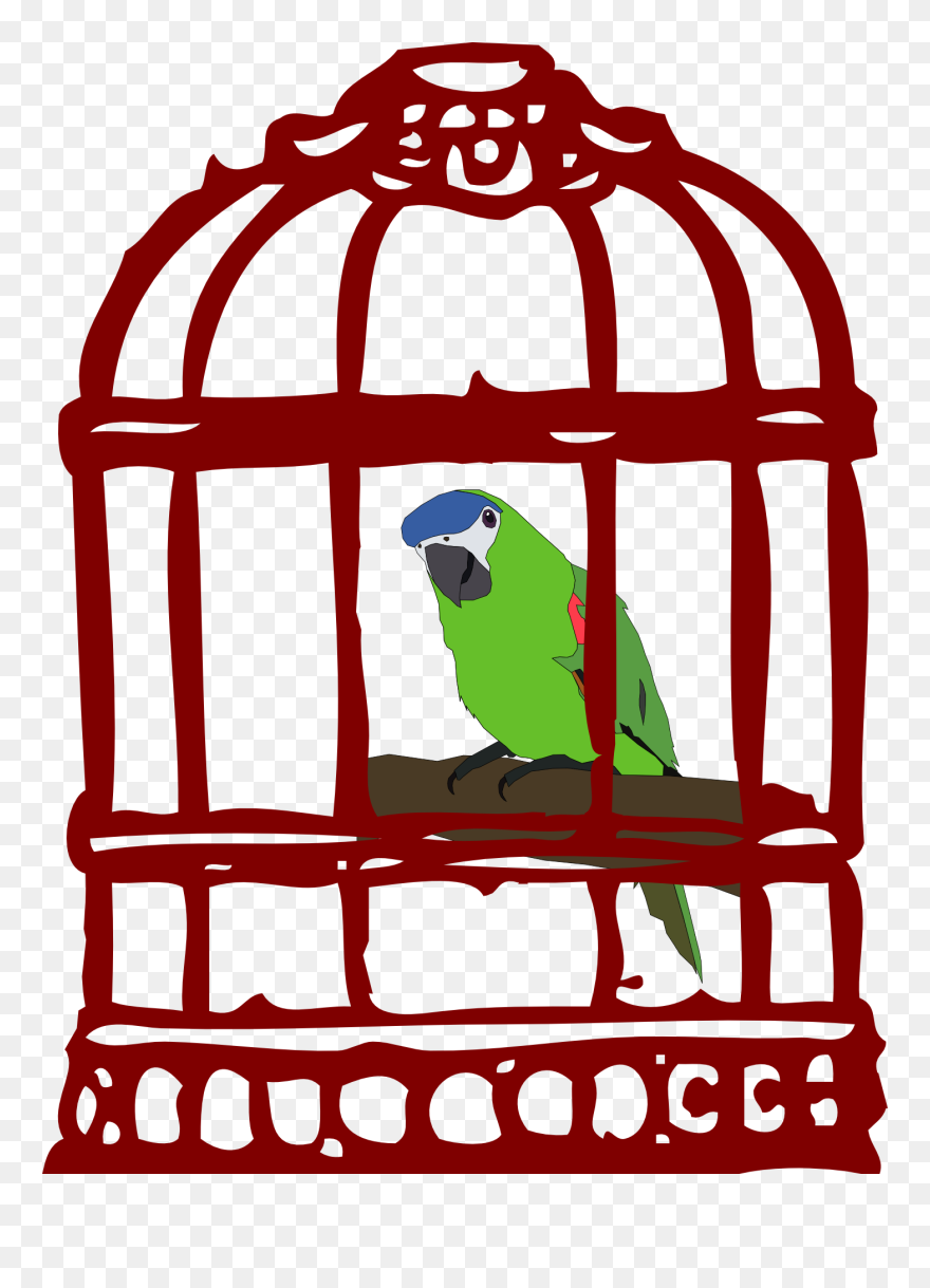 Parrot In Cage Png Clipart