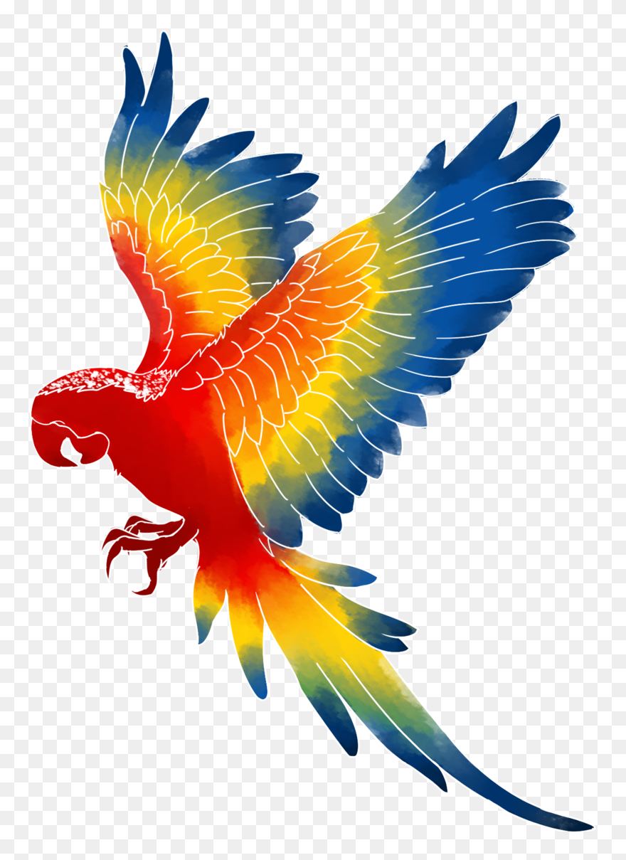 Macaw Beak Png - Brazilian Bird Png Clipart