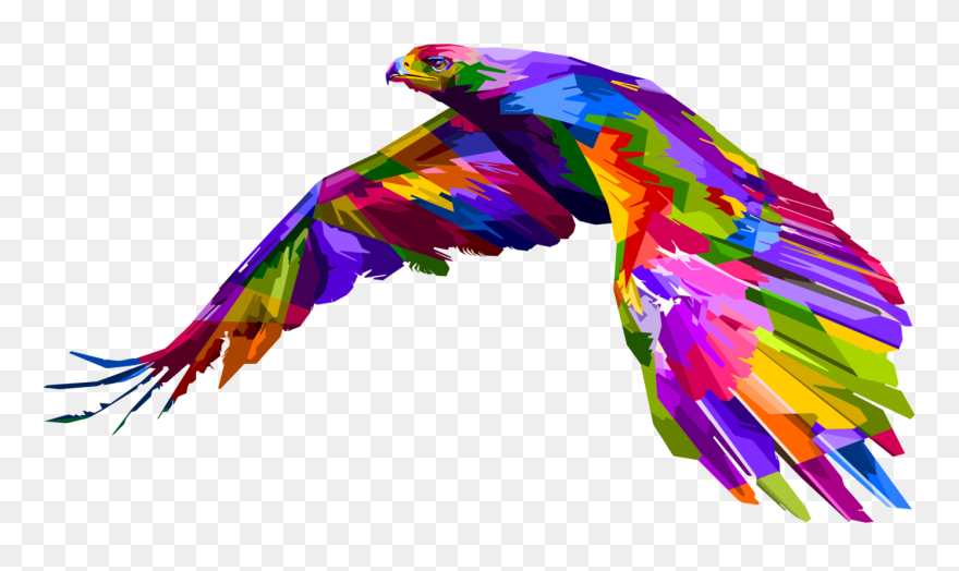 Macaw,parrot,vertebrate - Colorful Animal Geometric Art Clipart