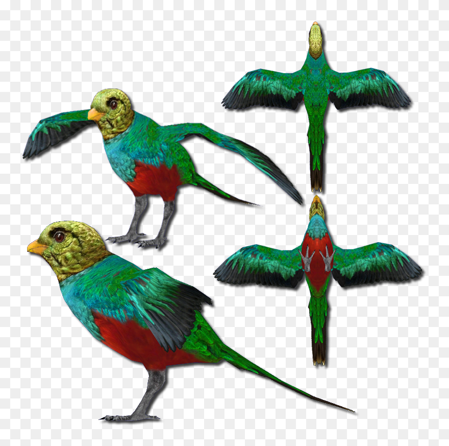 Golden Headed Quetzal V2 - Golden-headed Quetzal Clipart