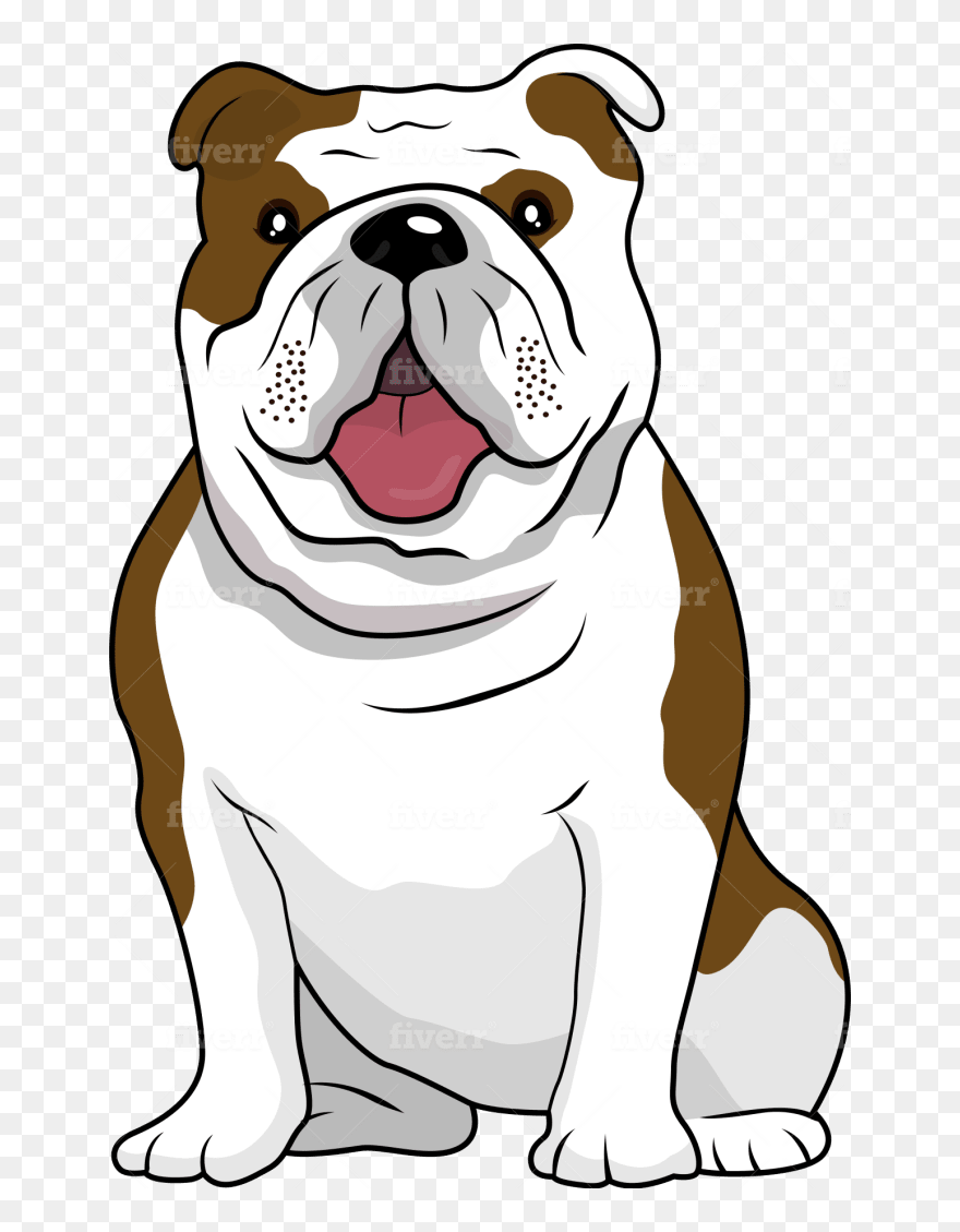 Australian Bulldog Clipart