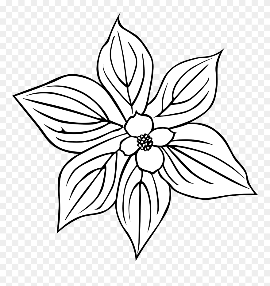 Flower Outlines Clipart