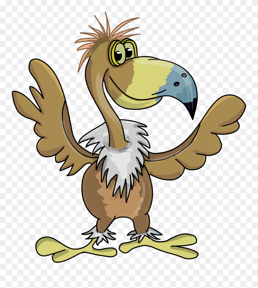 รูป การ์ตูน นก แร้ง Clipart