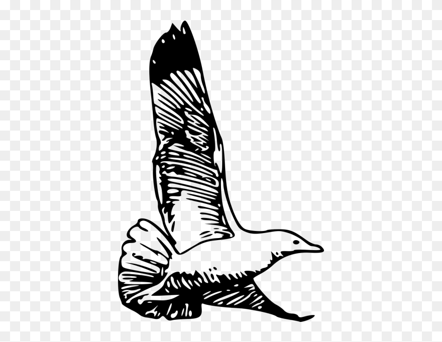Flying Bird Png Icons - Herring Gull Clipart
