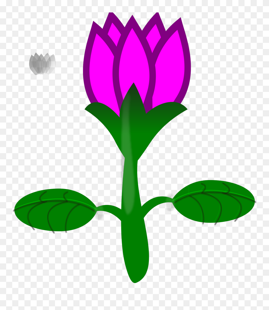 No Background Cartoon Flower Clipart