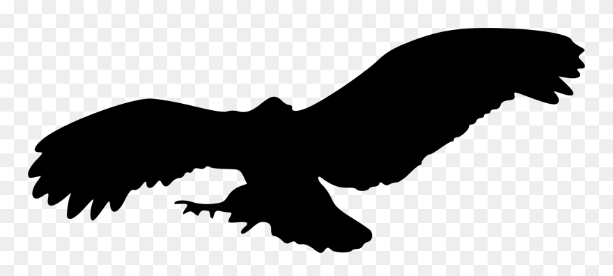Free Turkey Flight Clipart Svg Freeuse Flying Turkey - Animal Silhouettes Transparent Background - Png Download