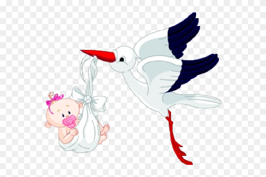 Stork With Baby Girl Png Clipart