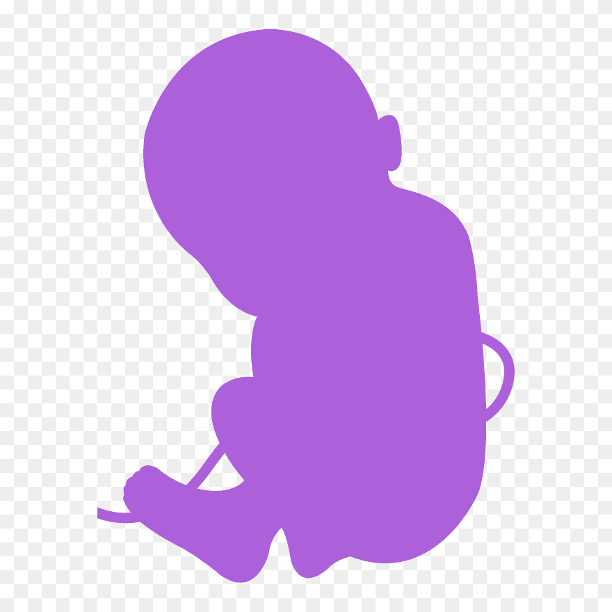 Clip Art - Png Download