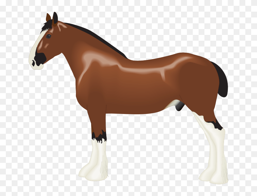 Clydesdale Horse Clipart - Png Download