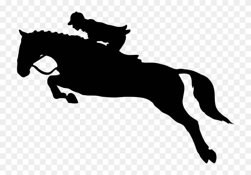 Horse Show Jumping Equestrian Clip Art - Horse Jumping Svg - Png Download