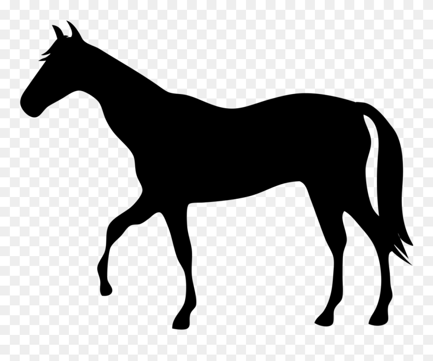 Therapy Clipart Horse - Horse - Png Download