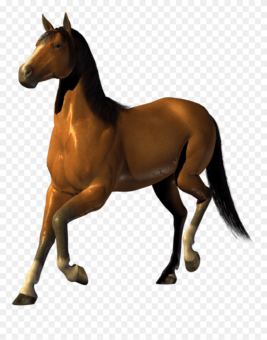 Horse Clip Art - Transparent Background Free Horse Clipart - Png Download