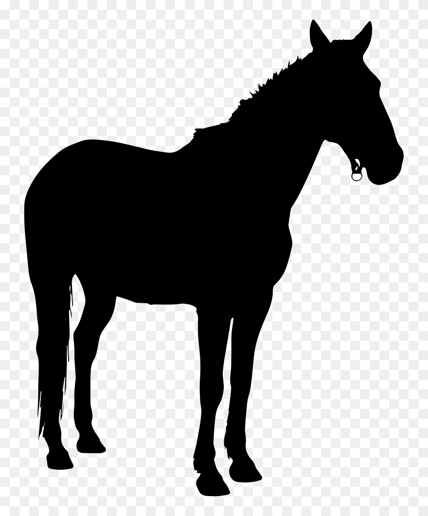 Pony Horse Silhouette Clip Art - German Wirehaired Pointer Silhouette - Png Download