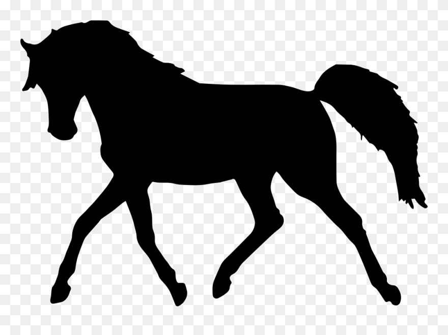 Standing Horse Silhouette Clip Art - Horse Silhouette Transparent Background - Png Download
