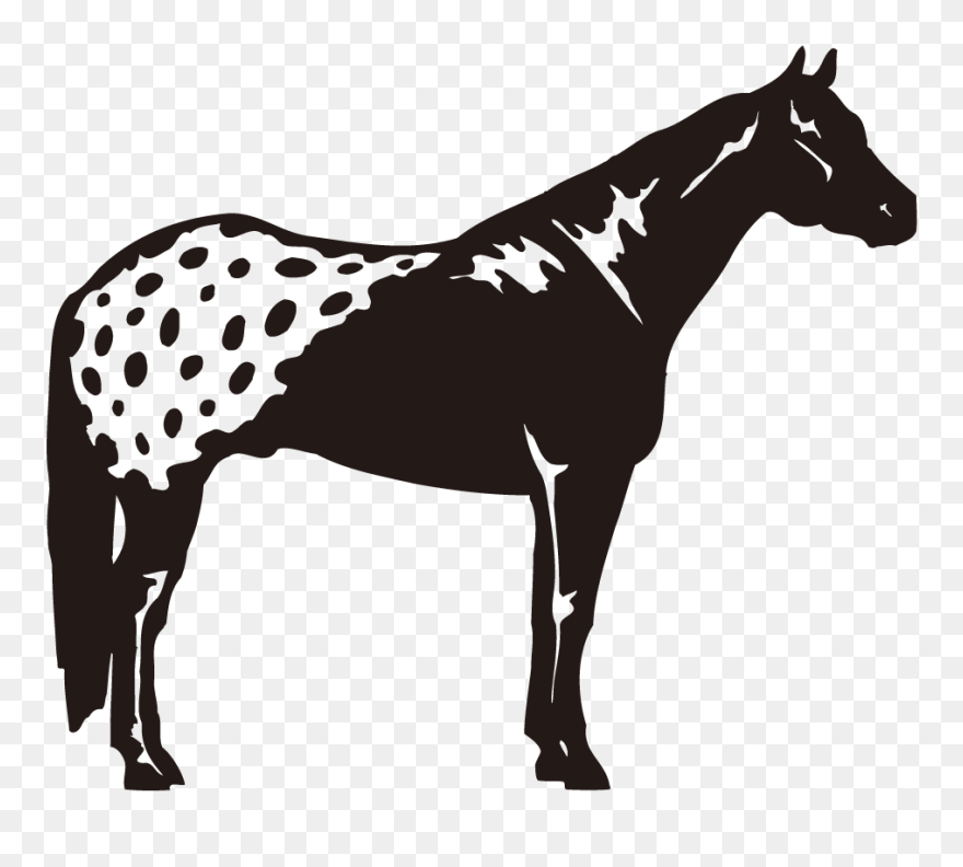 Womans Place Is On A Horse Clipart