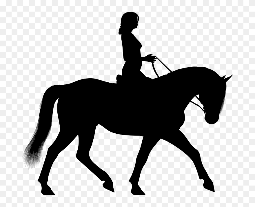 Woman Riding Horse Silhouette - Clip Art Horse Riding - Png Download