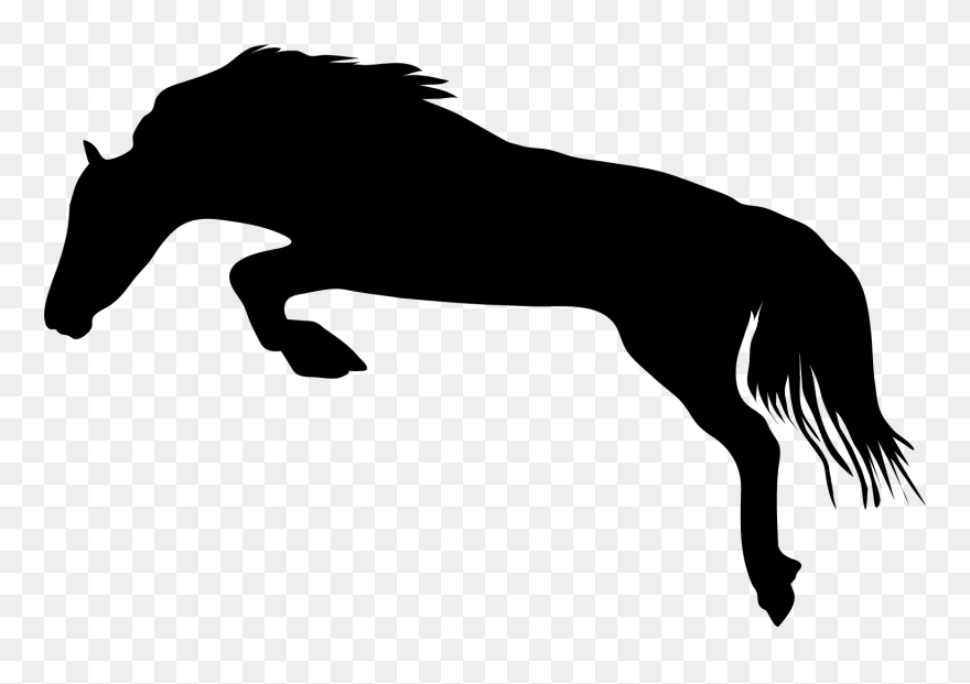 Stallion Clipart