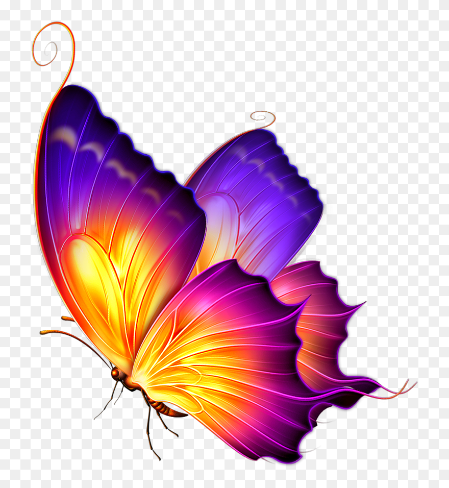 #butterfly #cartoon #clipart #springtime #freetoedit - Transparent Background Butterfly Png