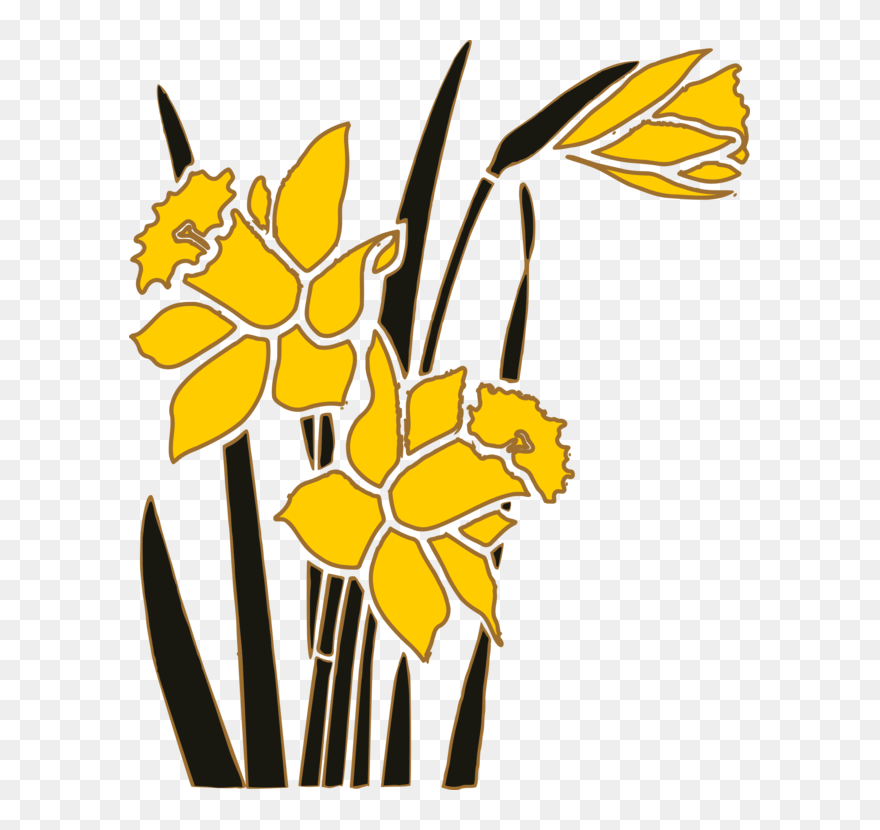 Petal,yellow,graphic Design - Силуэт Нарциссы Clipart