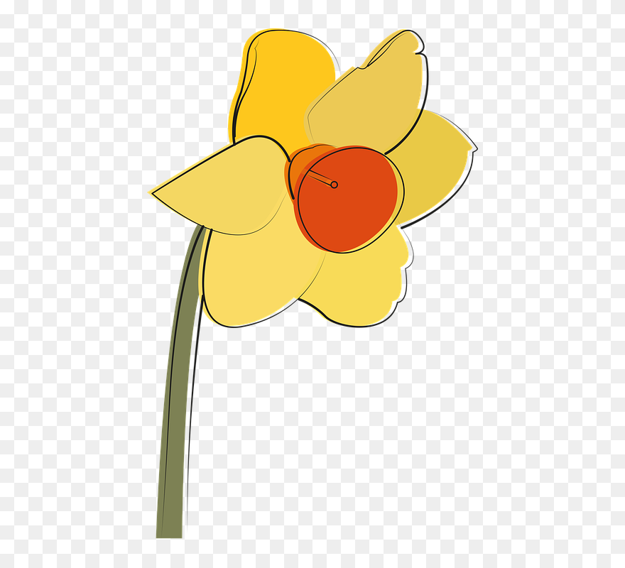 Narcisă Galbenă Clip Art - Png Download