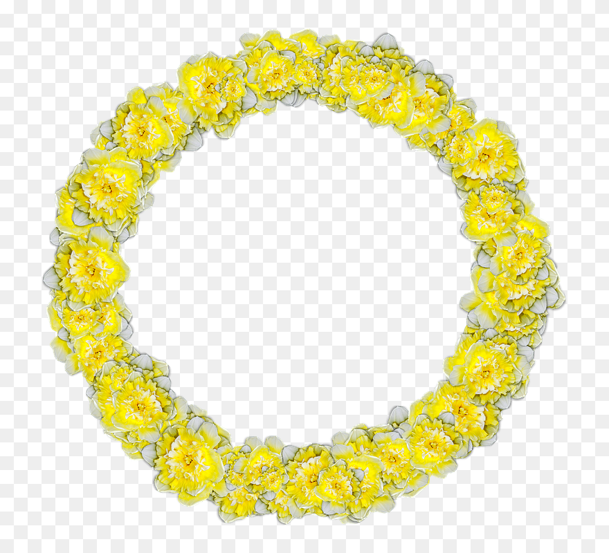 Daffodils, Circle, Narcissus, Decor, Graphics - Daffodil Circle Clipart