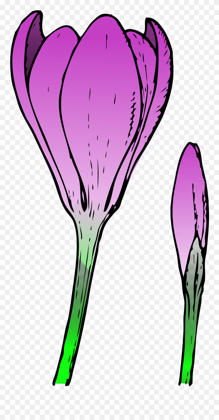 Flower Bud Clip Art - Png Download