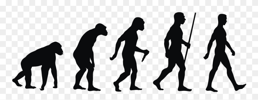Human Evolution Png - Evolution Of Man Transparent Clipart