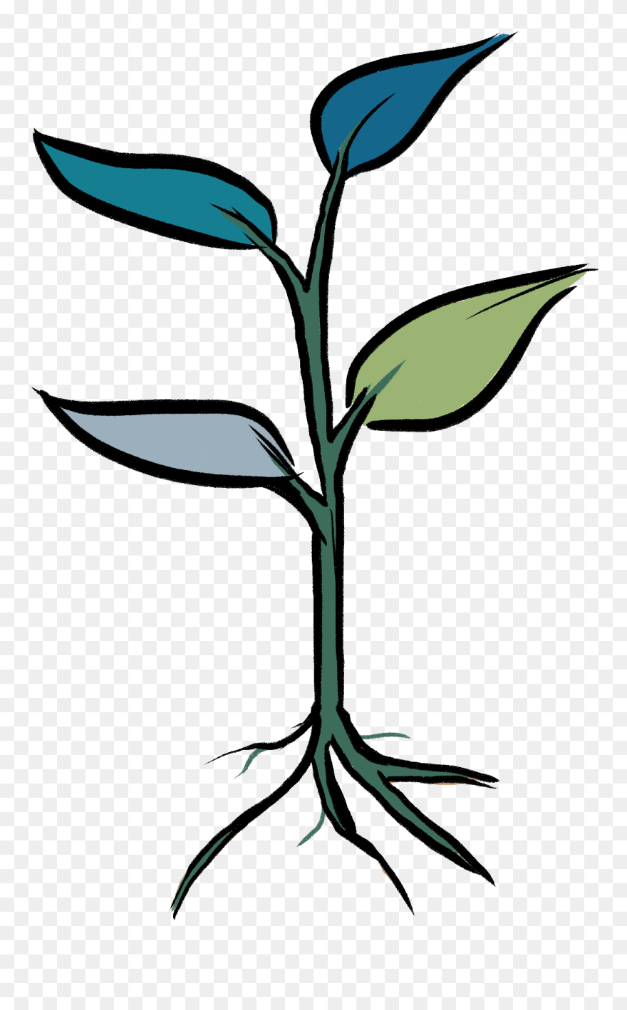 Clip Art - Png Download