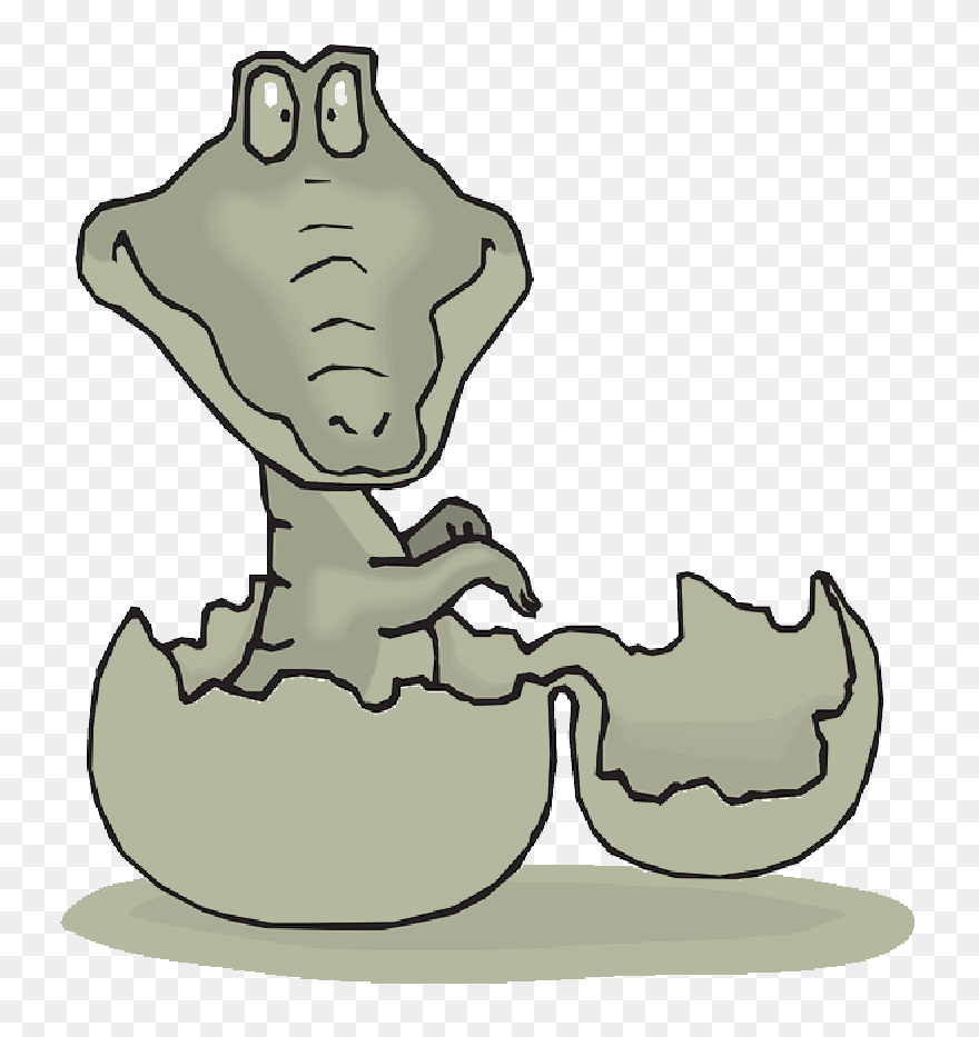 Baby, Cartoon, Egg, Shell, Hatching, Alligator, Hatch - Crocodile Hatching Clipart - Png Download