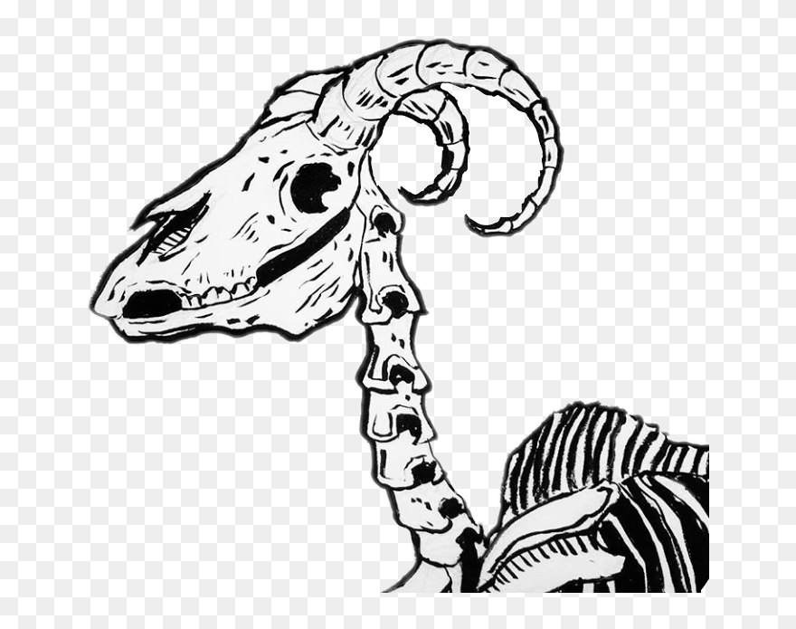 #dark #bones #huesos #horns #cuernos #freetoedit - Illustration Clipart