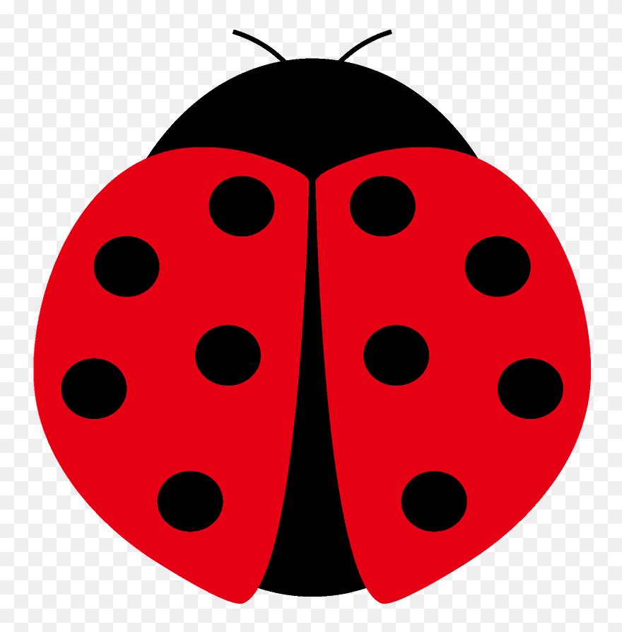 Ladybird Beetle Clipart