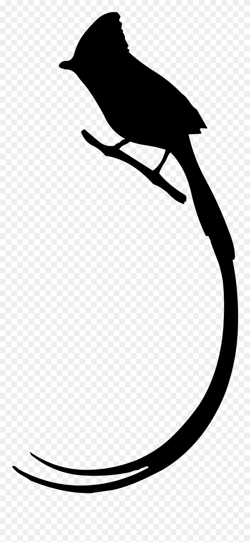Bird Long Tail Silhouette Owl Clip Art - Long Tail Birds Drawing - Png Download