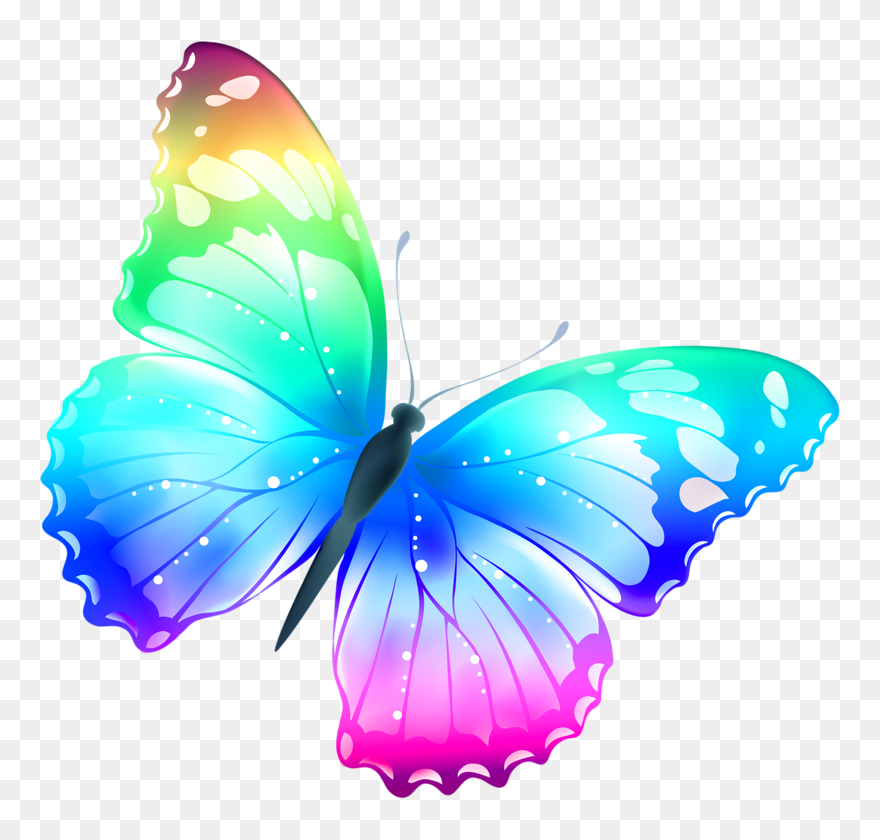 Thumb Image - Butterfly Png Clipart