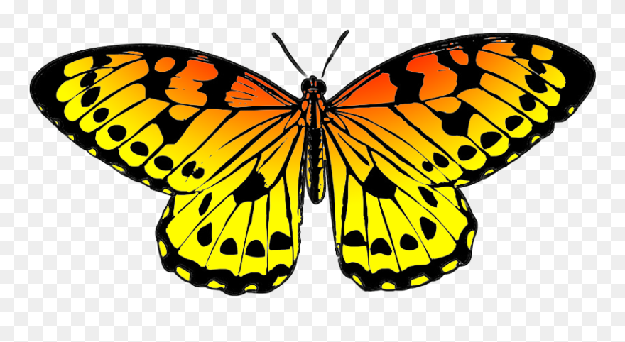 Butterfly Clip Art Color - Png Download