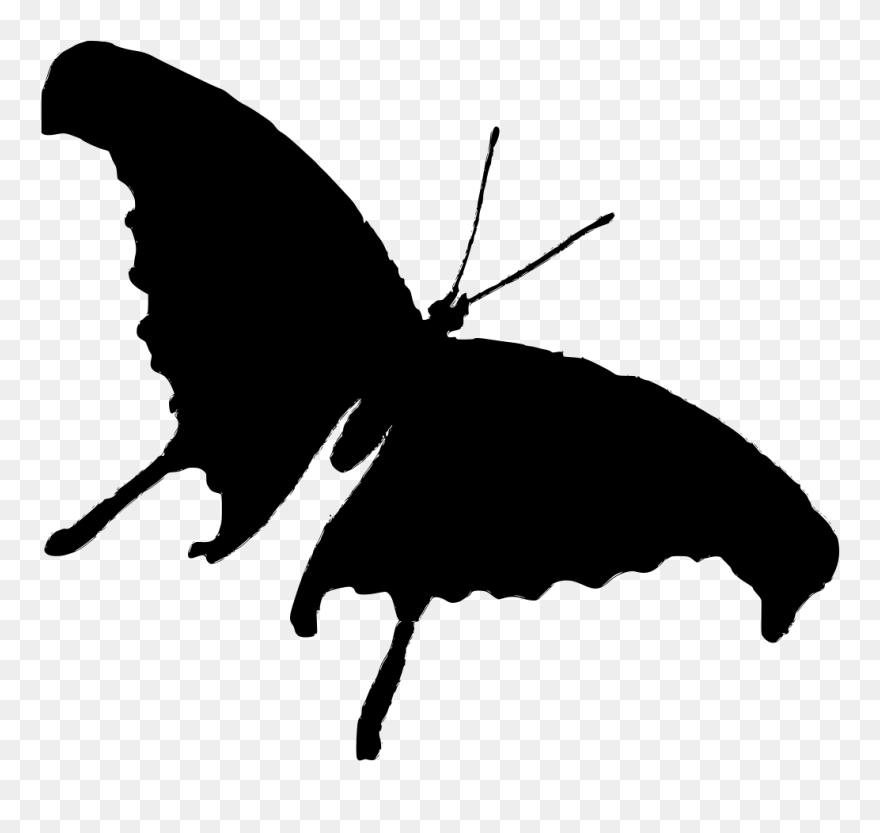 Kolaj Haiwan Rama Rama Clipart