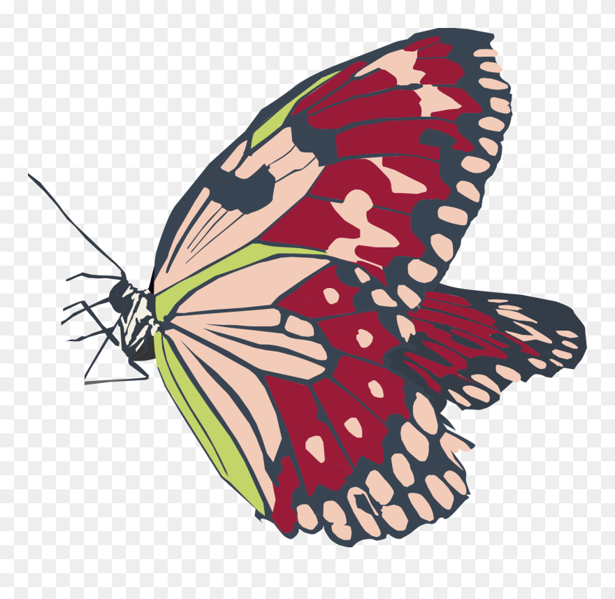 Butterfly Copy - Swallowtail Butterfly Clipart