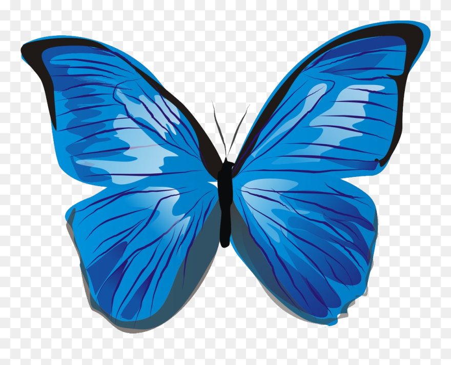 Butterfly Images, Blue Butterfly, Clip Art Free, Free - Cute Butterfly Png Blue Transparent Png