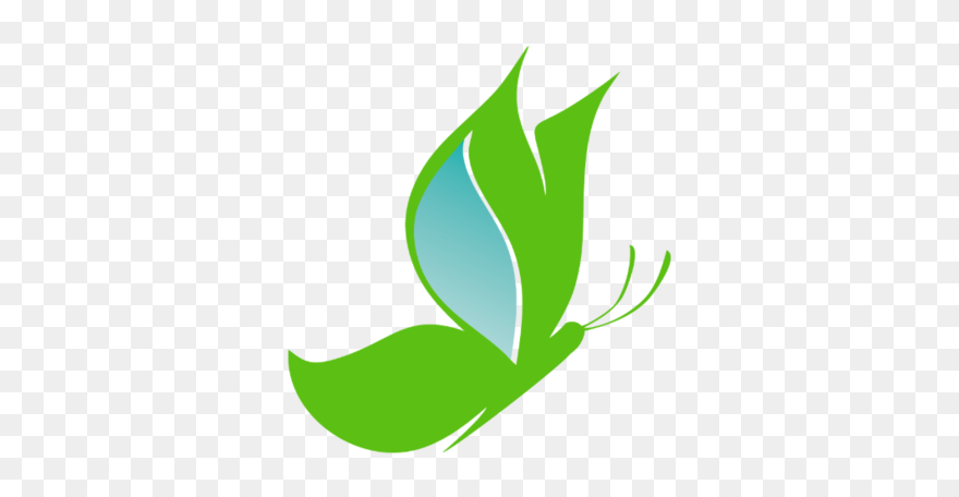 Butterfly Life Cycle Clipart - Png Download