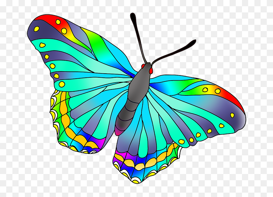 Transparent Kelebek Clipart - Butterflies In Different Colour - Png Download