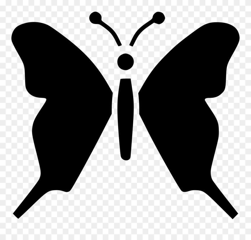 Butterfly Insect Nature Beauty Colorful - Butterflies Clipart